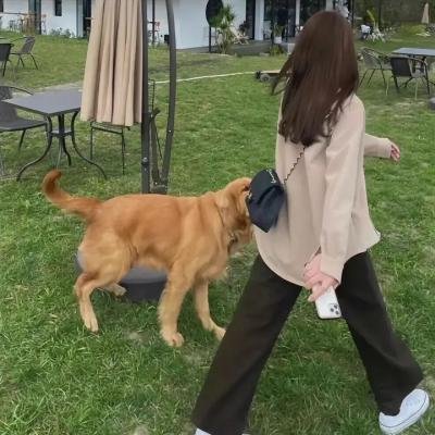欧洲人